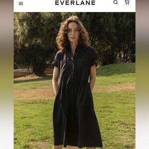 Everlane Parklet Shirt‎ Dress